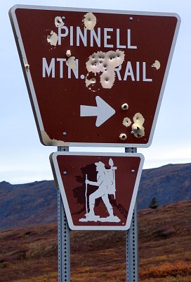 Pinnel Mtn. Trail