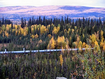 Alaska Pipeline am Elliot Highway